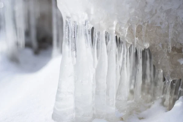 Gros Plan Sur Les Flocons Neige Naturels Lettonie — Photo