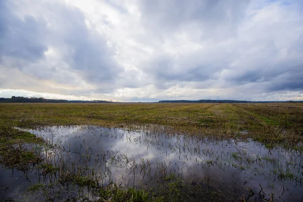 Cielo Nublado Sobre Campo Letonia —  Fotos de Stock