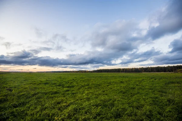 View Green Country Field Cloudy Day Latvia — Stock Photo, Image