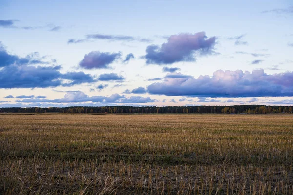 Cielo Serale Azzurro Nuvoloso Sul Campo Campagna Lettonia — Foto Stock