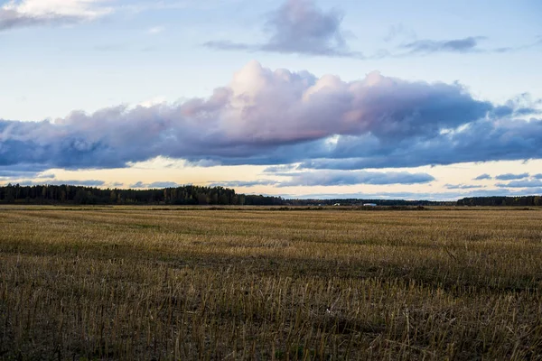 Pochmurny Wieczór Niebieski Niebo Nad Pole Kraj Łotwa — Zdjęcie stockowe