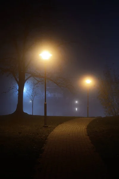 Outono Uma Vista Estrada Iluminada Parque Noite Letónia — Fotografia de Stock