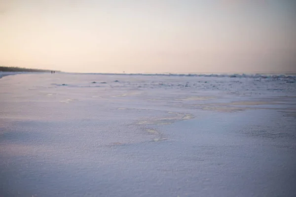 ラトビア海海岸を雪します — ストック写真