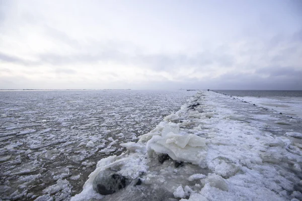 Deniz Letonya Ile Fener Yolu — Stok fotoğraf