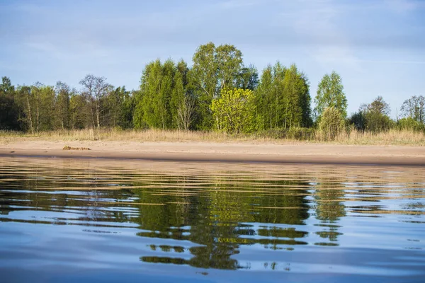 View Green Trees River Sunny Day Latvia — Stock Photo, Image