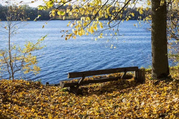 Close Wooden Bench River Forest Clear Day Koknese Latvia — Stock Photo, Image