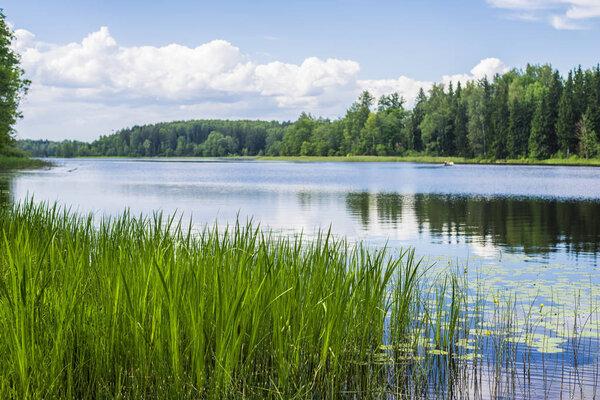 Reflections on the water. A view of the blue lake with a pine forest in the background, Latvia