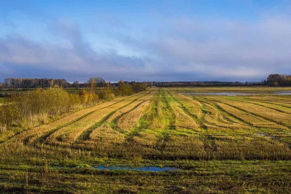 Une Vue Sur Champ Campagne Automne Sous Ciel Bleu Nuageux — Photo