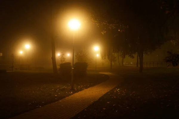 拉脱维亚夜晚公园的灯光景观 — 图库照片
