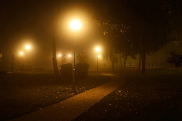 Outono Uma Vista Estrada Iluminada Parque Noite Letónia — Fotografia de Stock