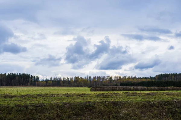 View Green Country Field Cloudy Day Latvia — Stock Photo, Image