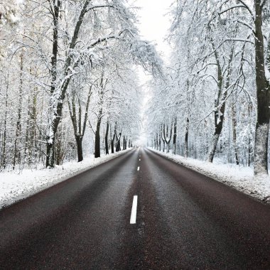 Kar sokak Kasım ayında ağaçlar ve yolun kapalı. Kış harikalar diyarı Riga, Letonya.