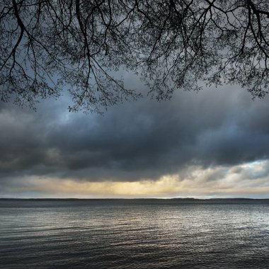 Göl manzara sonbahar fırtınada sırasında ağaç dalları ile. Kisezers, Riga, Letonya.