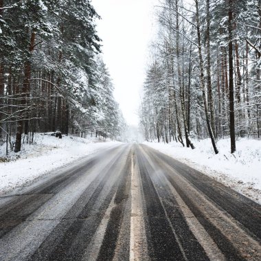 Düz asfalt yol Letonya karla kaplı bir ormanda