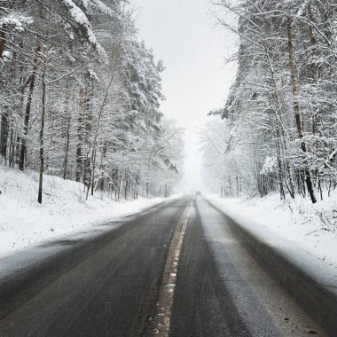 Düz asfalt yol Letonya kar yağışı sırasında bir ormanda