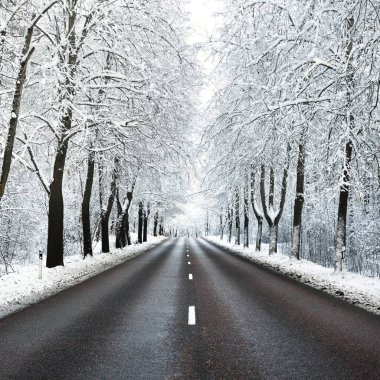 Kar sokak Kasım ayında ağaçlar ve yolun kapalı. Kış harikalar diyarı Riga, Letonya.