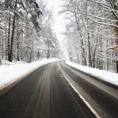 Letonya karla kaplı bir ormandaki eğri asfalt yol