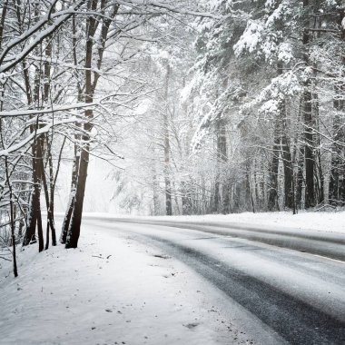 Letonya karla kaplı bir ormandaki eğri asfalt yol