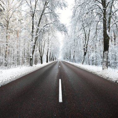 Kar sokak Kasım ayında ağaçlar ve yolun kapalı. Kış harikalar diyarı Riga, Letonya.