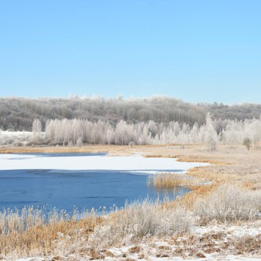 Karlı çayır ve orman tarafından çevrili mavi donmuş gölün in Rime'ı içinde kaplı. Rus kış.