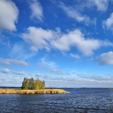 nehir bulutlu gökyüzü karşı ağaçlarda ile adanın doğal görünümü