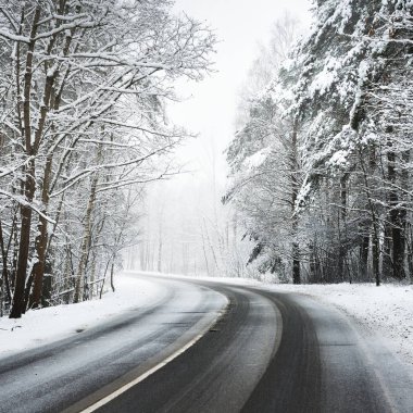 Letonya karla kaplı bir ormandaki eğri asfalt yol