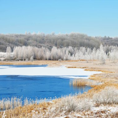 Karlı çayır ve orman tarafından çevrili mavi donmuş gölün in Rime'ı içinde kaplı. Rus kış.