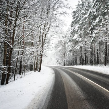 Letonya karla kaplı bir ormandaki eğri asfalt yol