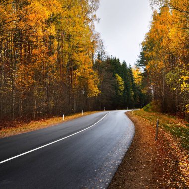 Riga, Letonya, Baltık Devletleri yanında renkli bir sonbahar ormandaki yeni Otoban yol.