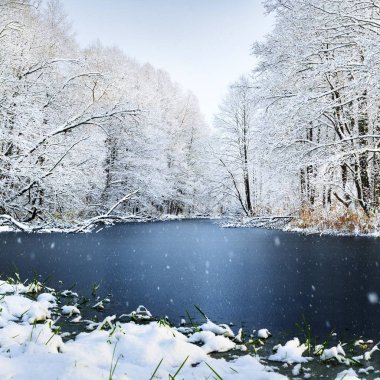 Gölde bir kış orman parlak bir günde