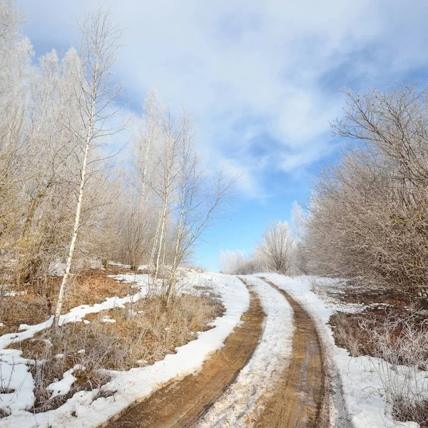 Vägen Genom Snowcovered Ryska Landsbygden Vintertid — Stockfoto