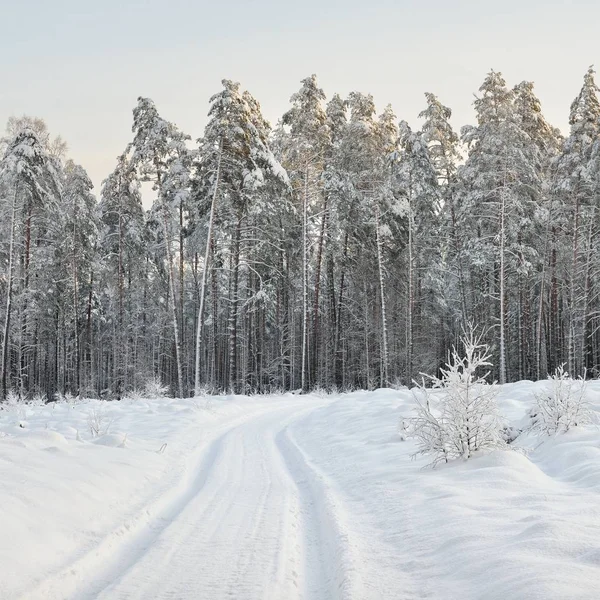 Vista Perto Estrada Campo Coberta Neve Floresta Contra Céu Nublado — Fotografia de Stock