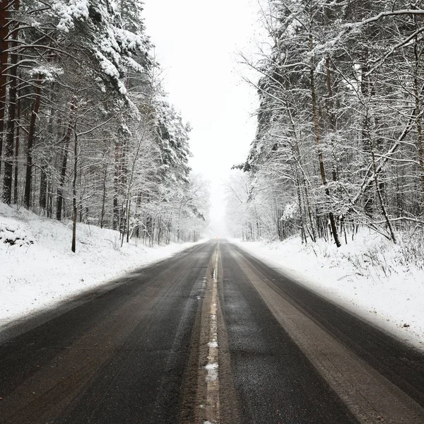 Route Asphaltée Droite Dans Une Forêt Recouverte Neige Lettonie — Photo