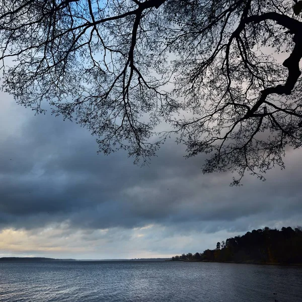 Lake Landscape Tree Branches Storm Autumn Kisezers Riga Latvia — Stock Photo, Image