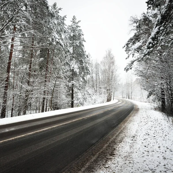 Letonya Karla Kaplı Bir Ormandaki Eğri Asfalt Yol — Stok fotoğraf
