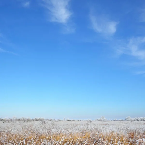 Bevroren Besneeuwde Weide Russische Platteland — Stockfoto