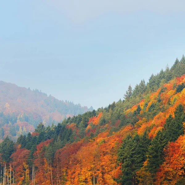 Neckar Flodutsikt Dalen Hösten Färgglada Orange Bladverk Hills Bredvid Heidelberg — Stockfoto