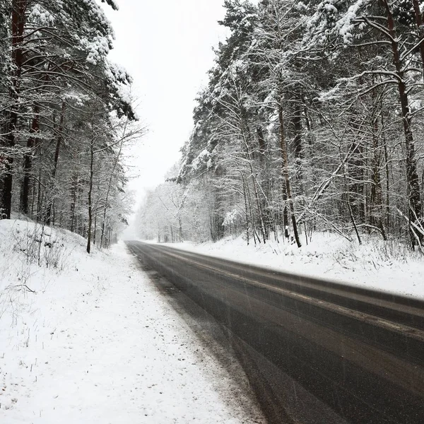 Route Asphaltée Droite Dans Une Forêt Recouverte Neige Lettonie — Photo