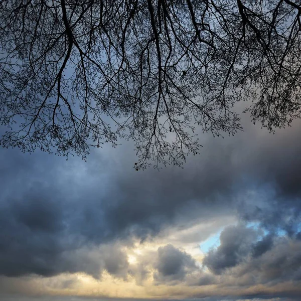 用树枝在秋季风暴期间湖景观 Kisezers 里加拉脱维亚 — 图库照片