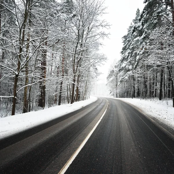 Route Asphaltée Courbe Dans Une Forêt Recouverte Neige Lettonie — Photo