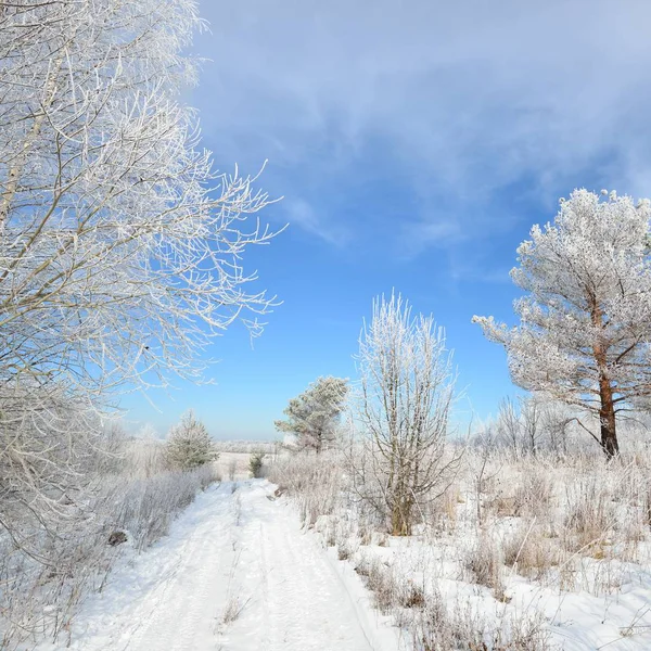 Snowcovered 冬のロシアの田園地帯を通る道路 — ストック写真