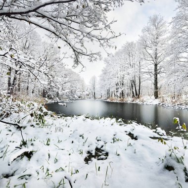 Gölde bir kış orman parlak bir günde