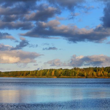 nehir ve orman bulutlu gökyüzü karşı doğal görünümünü