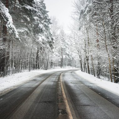 Letonya karla kaplı bir ormandaki eğri asfalt yol