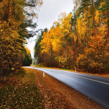 Riga, Letonya, Baltık Devletleri yanında renkli bir sonbahar ormandaki yeni Otoban yol.