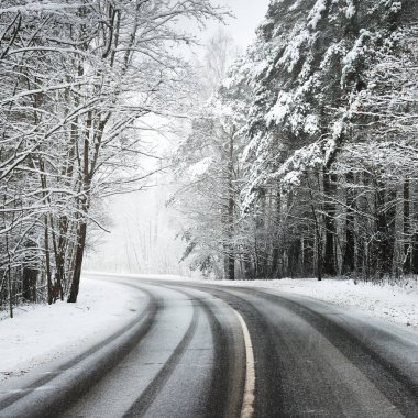 Letonya karla kaplı bir ormandaki eğri asfalt yol