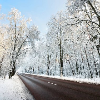 Kar sokak Kasım ayında ağaçlar ve yolun kapalı. Kış harikalar diyarı Riga, Letonya.