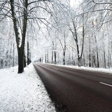 Kar sokak Kasım ayında ağaçlar ve yolun kapalı. Kış harikalar diyarı Riga, Letonya.