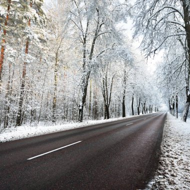 Kar sokak Kasım ayında ağaçlar ve yolun kapalı. Kış harikalar diyarı Riga, Letonya.