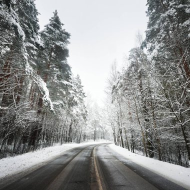 Letonya karla kaplı bir ormandaki eğri asfalt yol